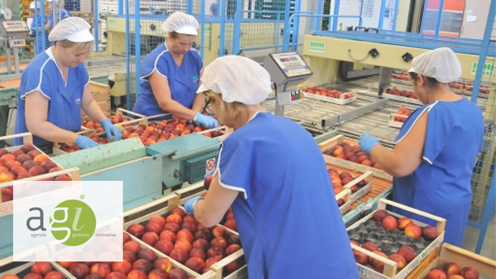 Pratiche commerciali sleali nei rapporti tra imprese nella filiera