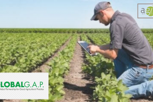 consulenza global g.a.p