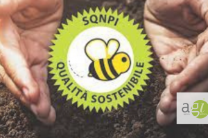 logo certificazione SQNPI